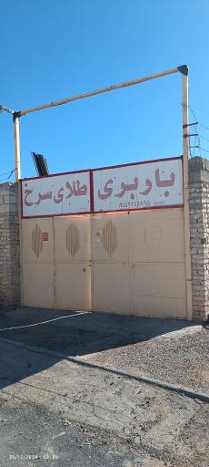 عکس باربری طلای سرخ 