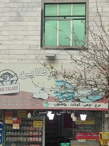 عکس مرغ و ماهی پر طلایی