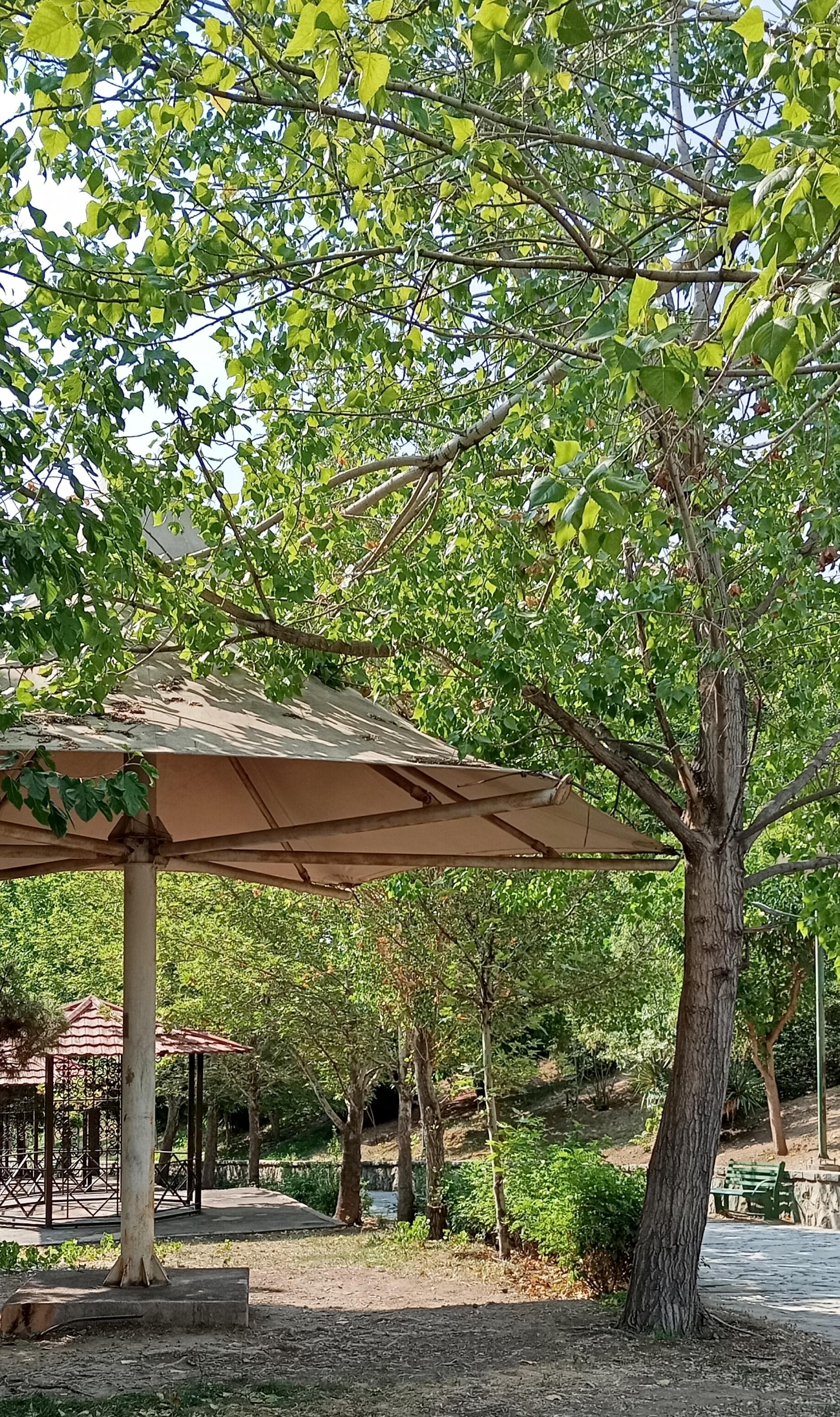 عکس پل پارک جوانمردان