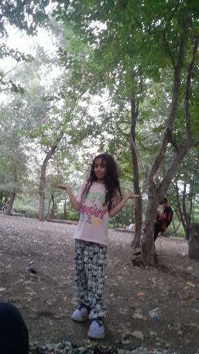 عکس تفرجگاه جنگل گلستان