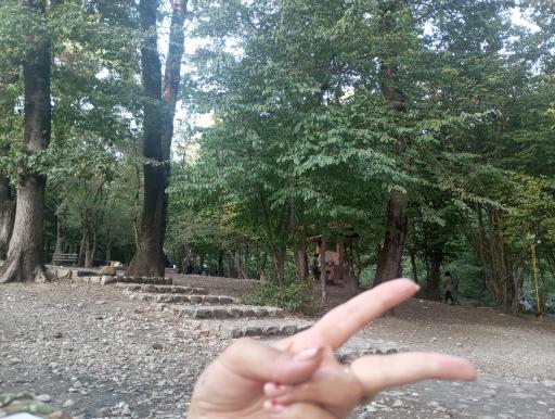 عکس تفرجگاه جنگل گلستان