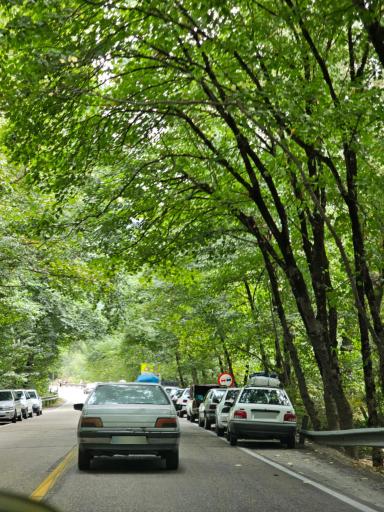 عکس تفرجگاه جنگل گلستان