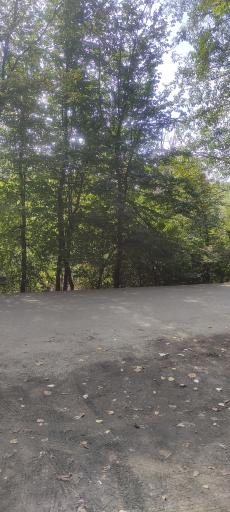 عکس تفرجگاه جنگل گلستان