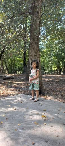 عکس تفرجگاه جنگل گلستان