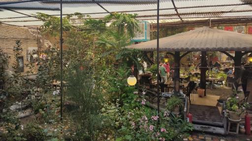 عکس کافه پلاک ۷