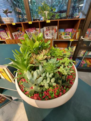 عکس خانه کتاب یارا