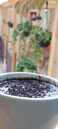 عکس کافه کاوه