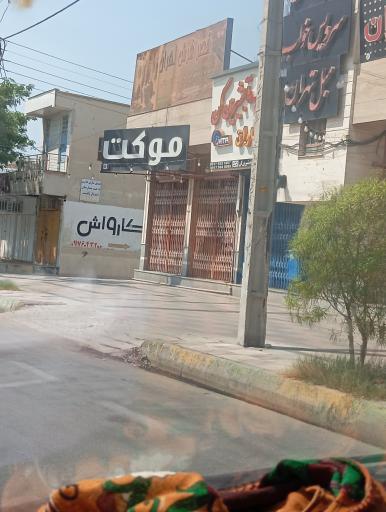 عکس موکت 