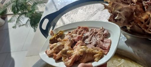 عکس طباخی سحرگاهان