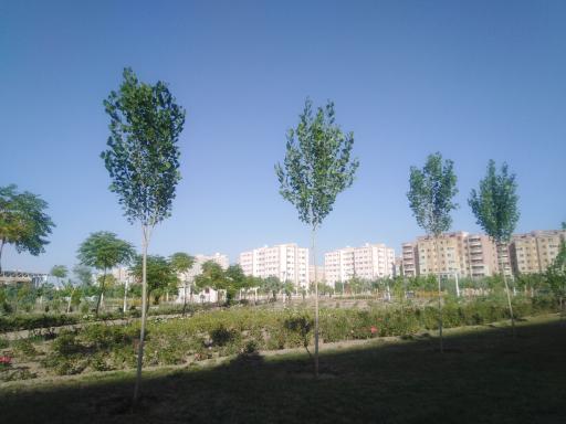 بوستان طراوت