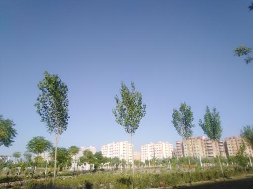 عکس بوستان طراوت