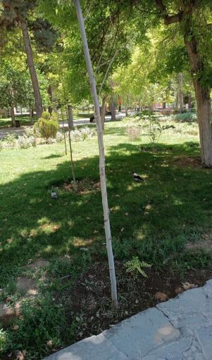 عکس پارک شهید بهشتی (سه باندی)