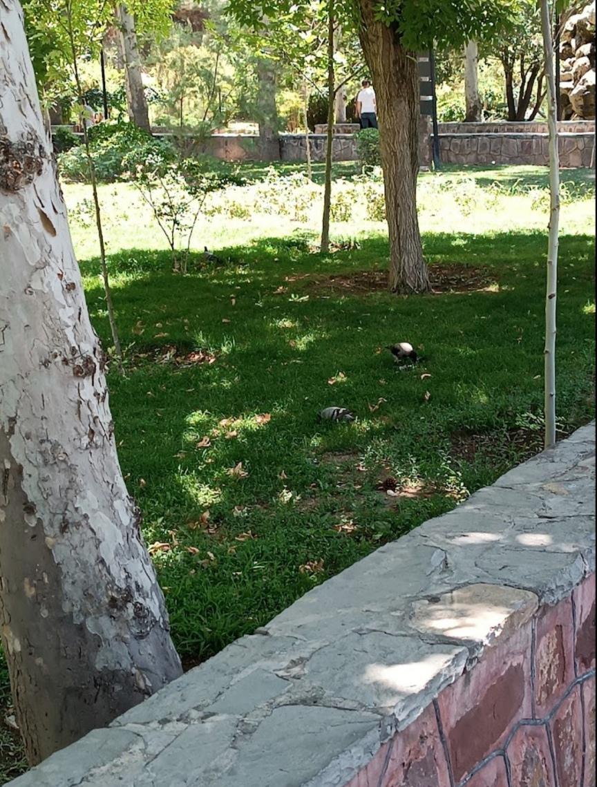 عکس پارک شهید بهشتی (سه باندی)