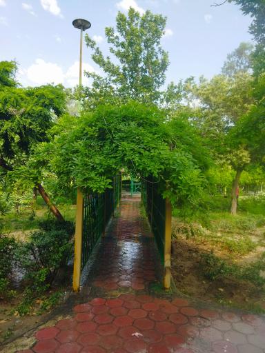 عکس پارک قبله