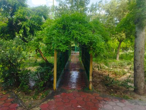 عکس پارک قبله