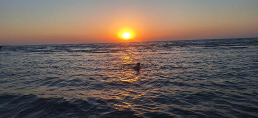 عکس بندرگناوه