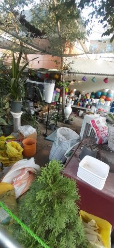 عکس گلخانه شهرگل