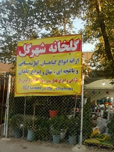 عکس گلخانه شهرگل