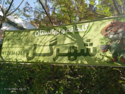 عکس گلخانه شهرگل