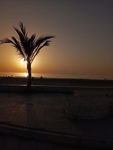 عکس بندرگناوه