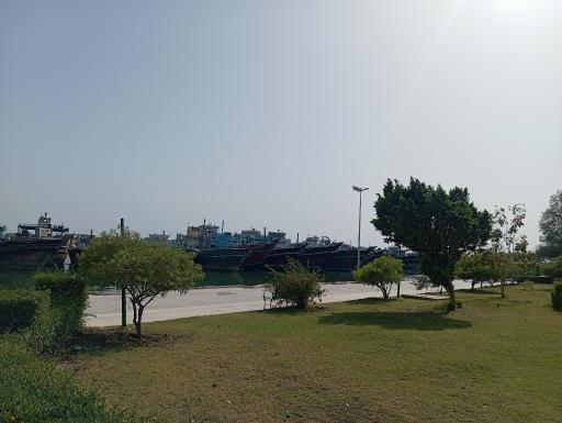 عکس بندرگناوه