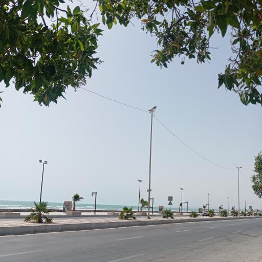 عکس بندرگناوه