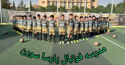 عکس چمن مصنوعی پارسا