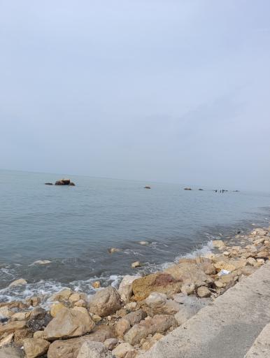 عکس بندرگناوه