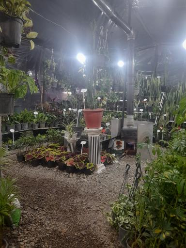 عکس گلخانه شهرگل