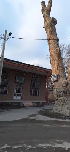 عکس مسجد امامزاده علی اصغر 