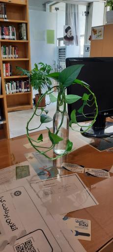 عکس کتابخانه عمومی کوثر