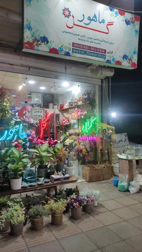 عکس گل فروشی ماهور