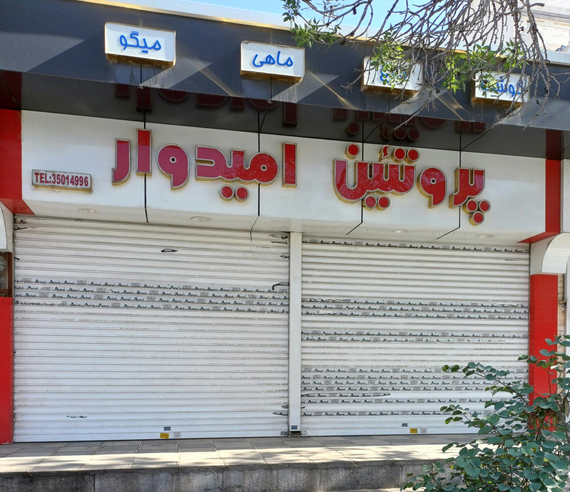 عکس پرتئین امیدوار