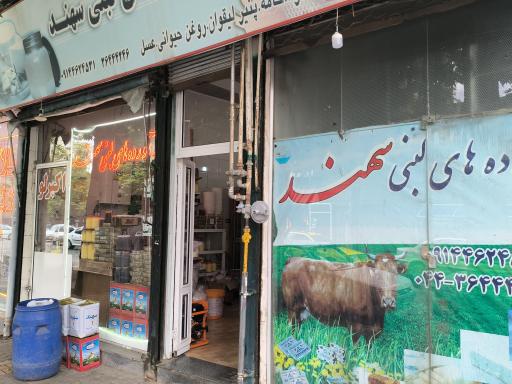 عکس لبنیاتی اکبرلو(سهند)