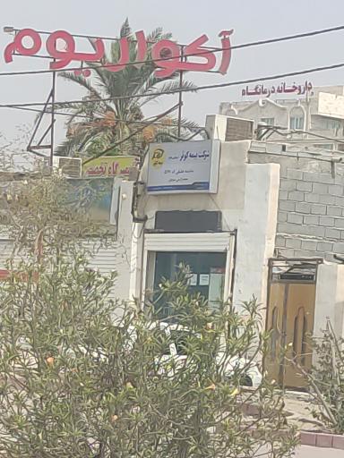 عکس بیمه کوثر 