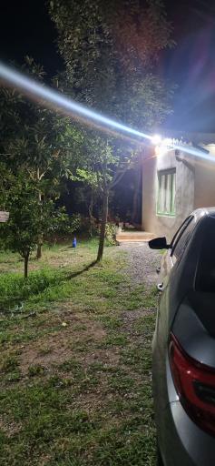 عکس باغ بهشت