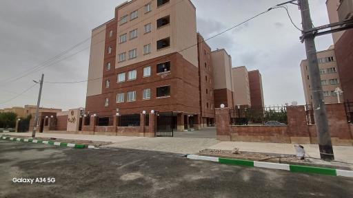 عکس زیتون ۳۰