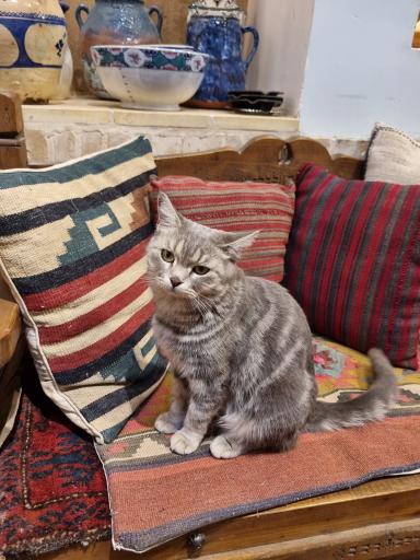 عکس خانه هنر یزد