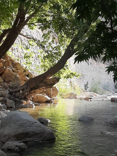 عکس تفریحگاه تنگ مهریان