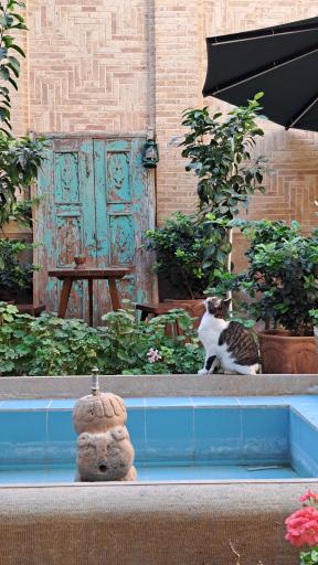 اقامتگاه سنتی خانه طاوسی 