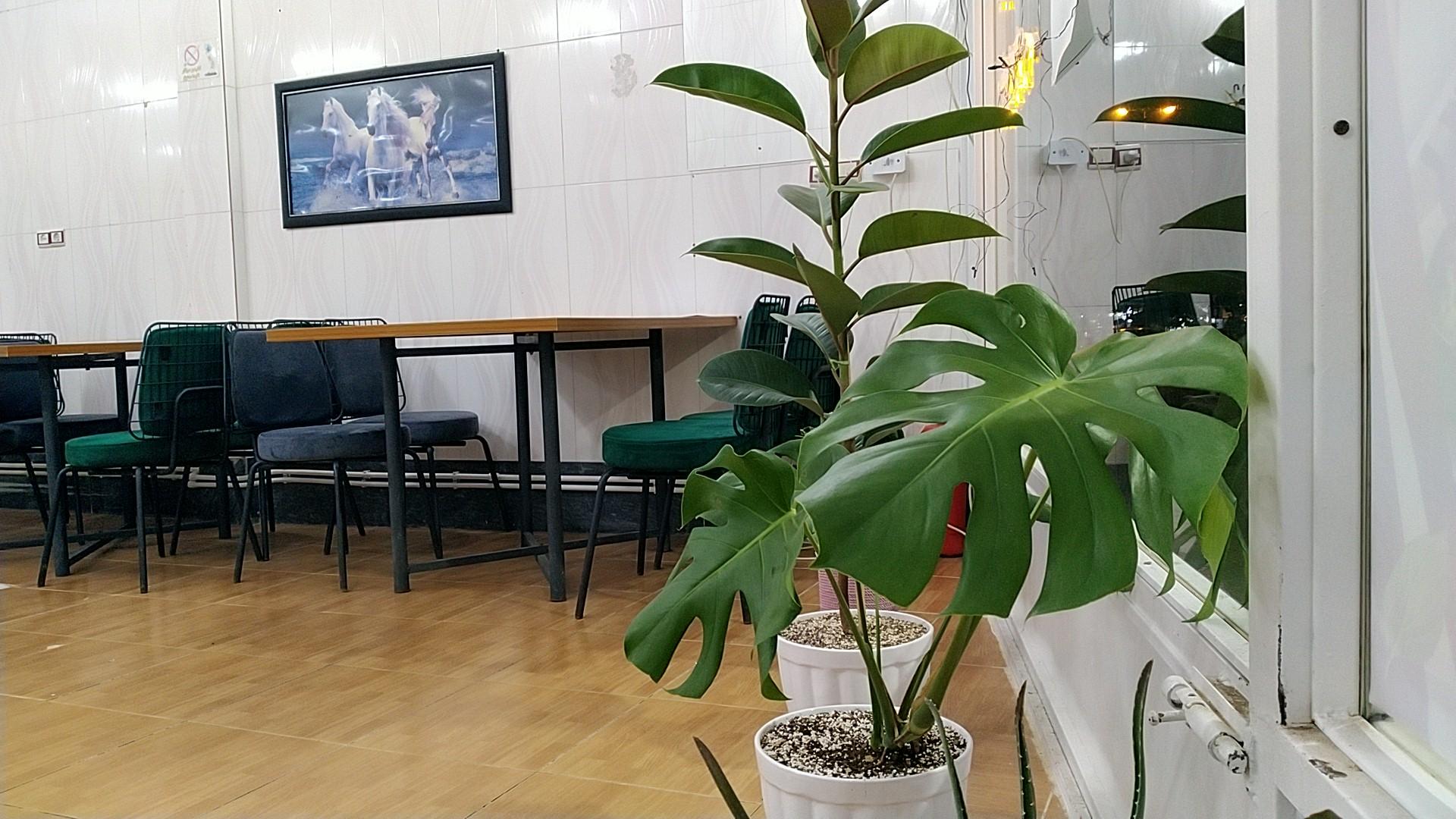 عکس رستوران و فست فود اولدوز