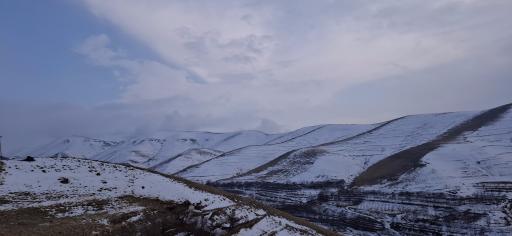 عکس کهنمو