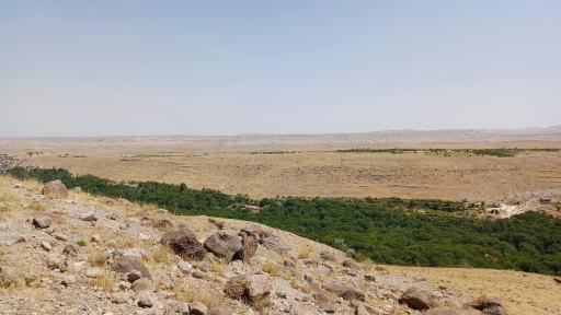 عکس کهنمو