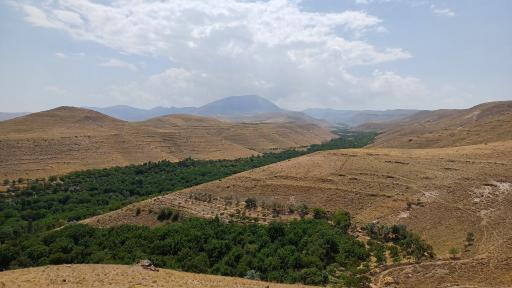 عکس کهنمو