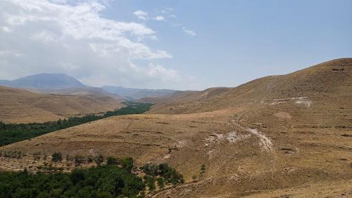 عکس کهنمو