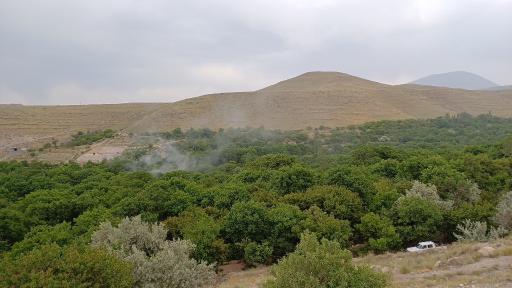 عکس کهنمو