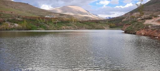 عکس کهنمو