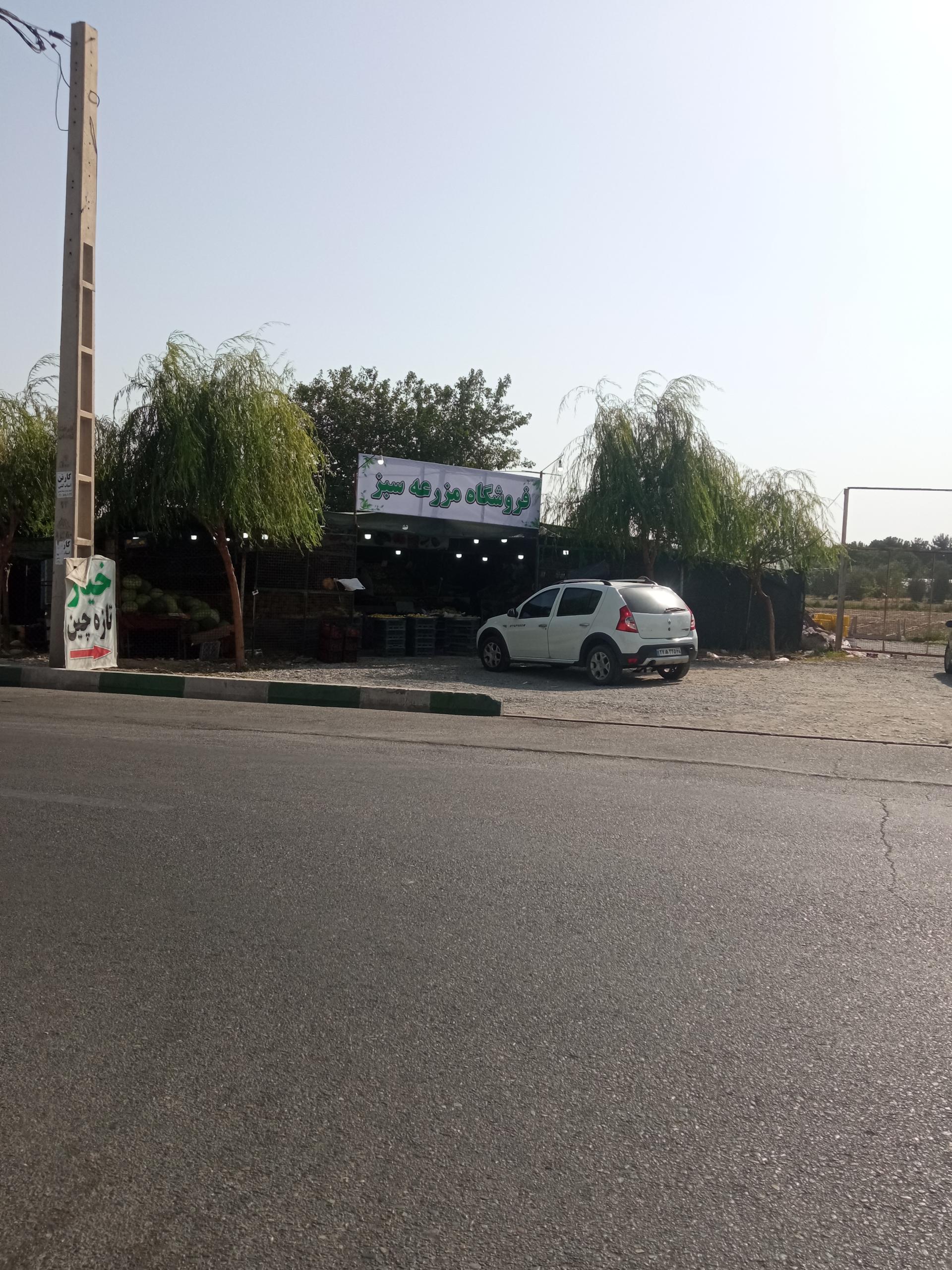 عکس میوه فروشی ارگانیک