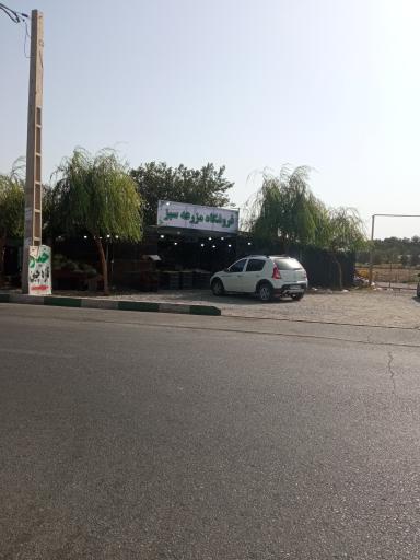 عکس میوه فروشی ارگانیک