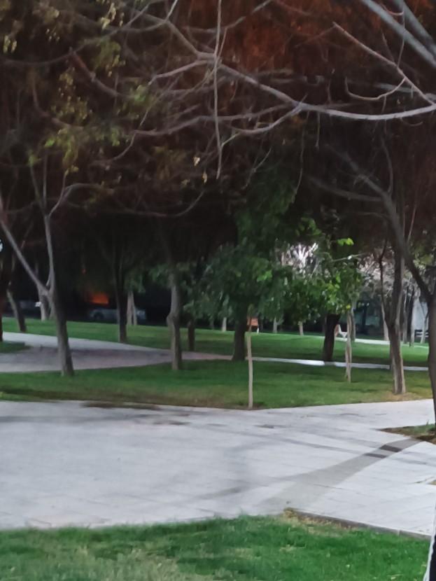 عکس پارک چکاوک 